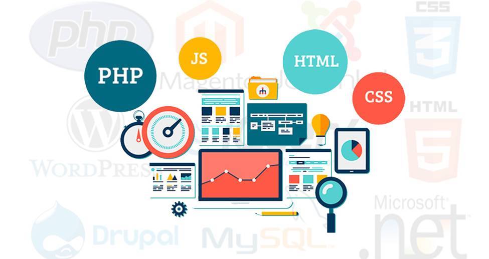 Web Development